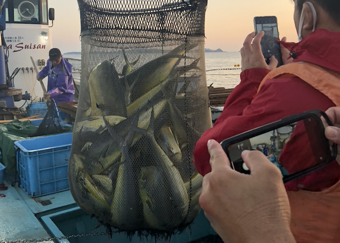 ▲シイラが大漁ーー！！きゃーーっっ（ビチビチビチビチッ！！！）