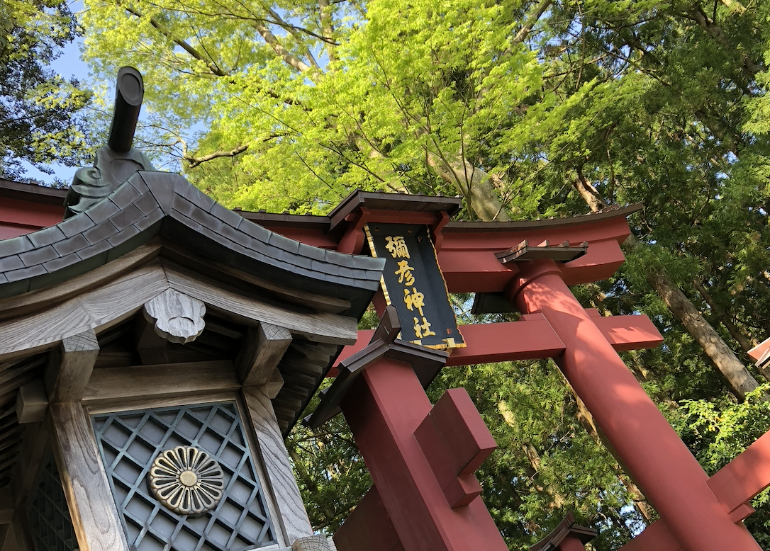 ▲もちろん、弥彦神社にもお詣り。開拓の神様、仕事運もバッチリ？！