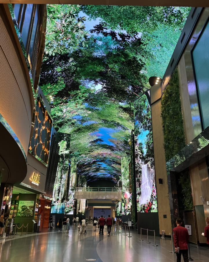 ▲壁と天井一面がサイネージ。風景が投影されます。スゲェな！