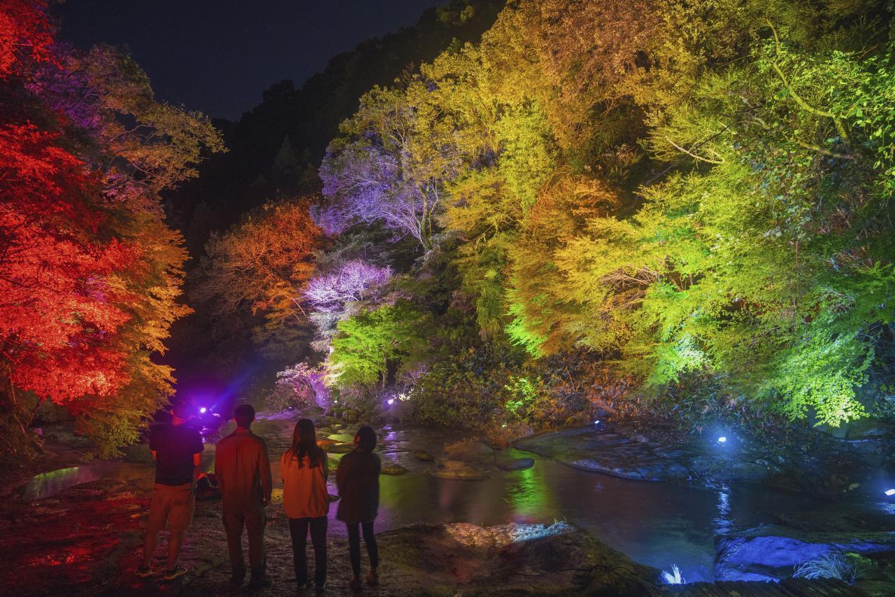 /data/works_17_p3.jpeg?1769731403