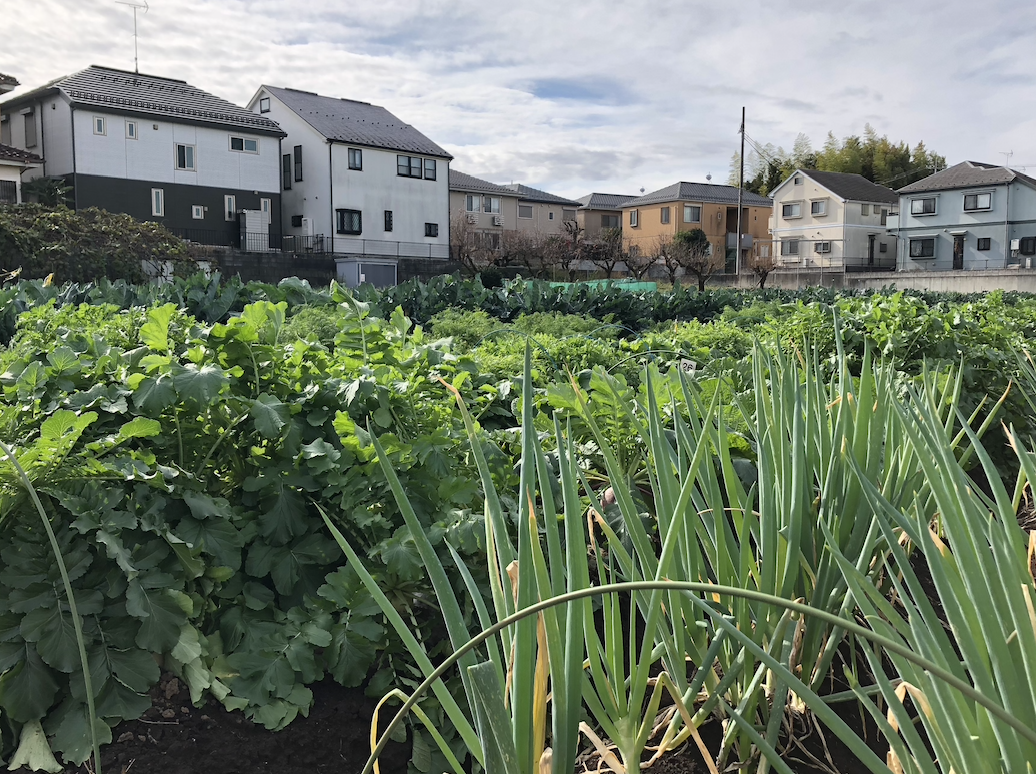 74万人ビッグシティを観光の側面から盛り上げる！＜ねりま観光センターの運営＞
